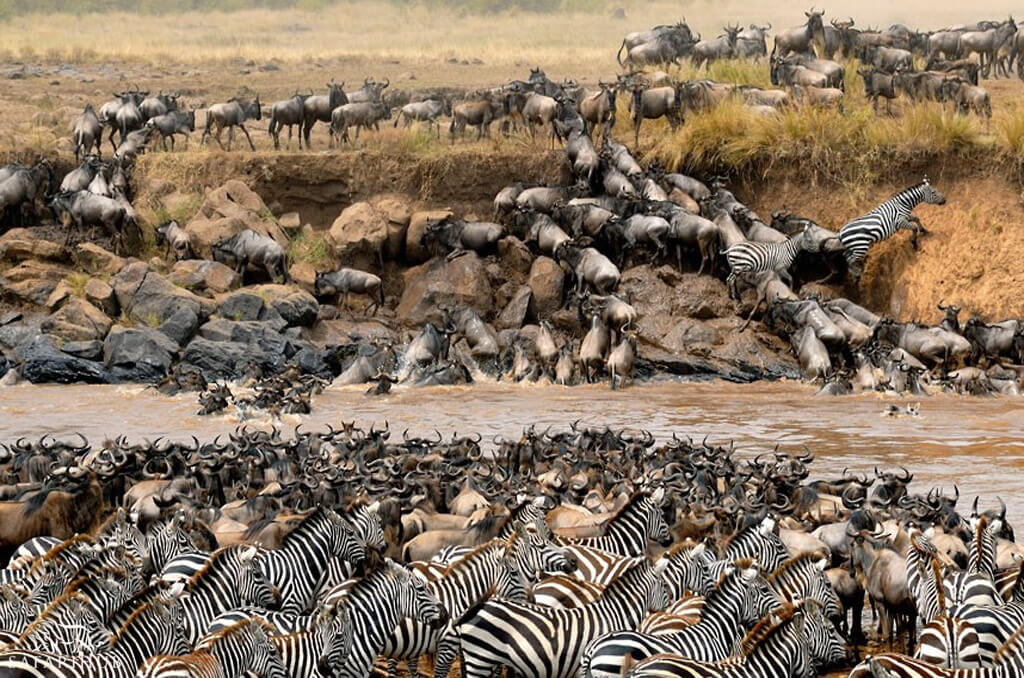 From Ngorongoro to The Serengeti