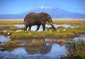 Best of Kenya & Tanzania
