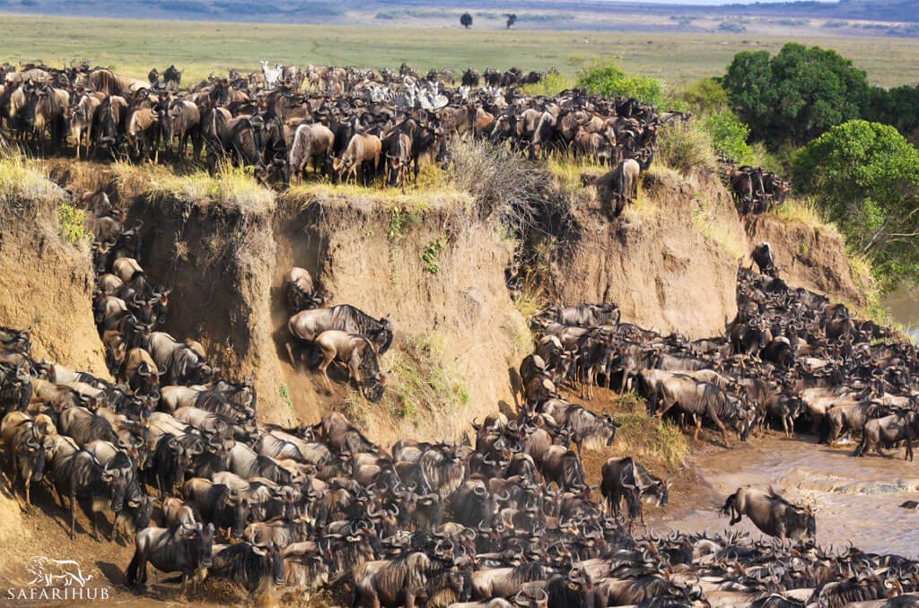 Ngorongoro Crater to Serengeti 