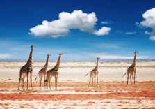 Namibia