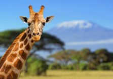 Tanzania