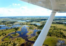 Flying Safaris