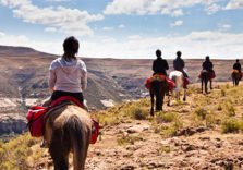 Horseback Safaris