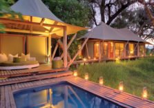 Luxury Safaris