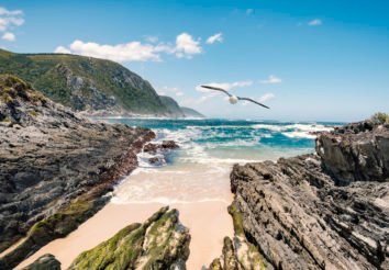 Inspirational garden route