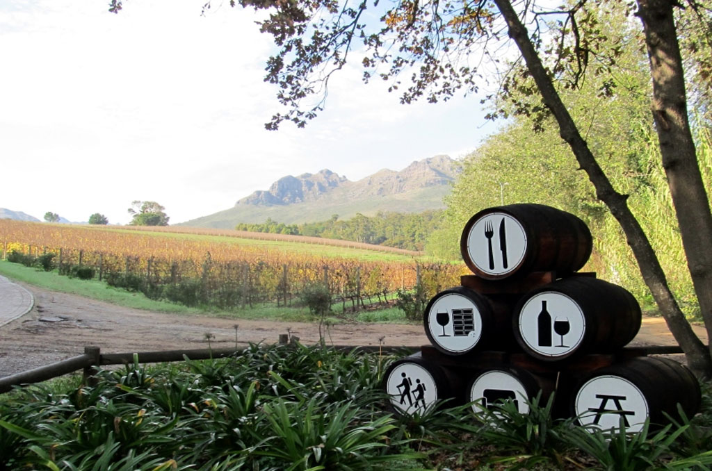 Cape Town to Winelands