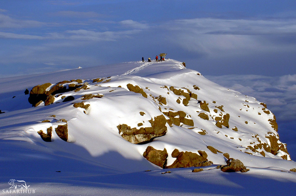 Kibo Camp (4,700m/15,400ft) to Uhuru Peak (5,895m/19,340ft) to Horombo Hut (3,720m/12,200ft)
