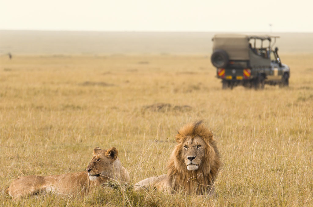 Nairobi to Masai Mara National Reserve
