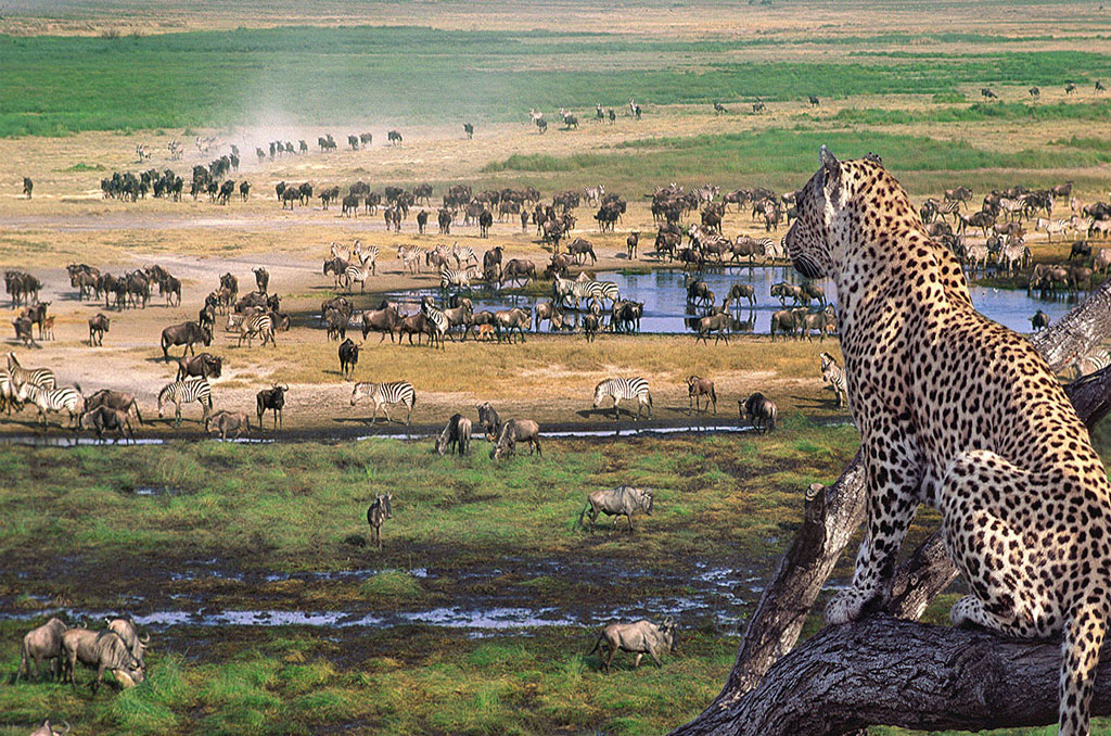 Serengeti National Park	