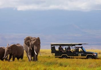 Elewana SkySafari – Classic Kenya