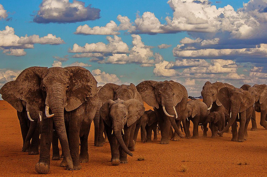 Nairobi to Amboseli National Park