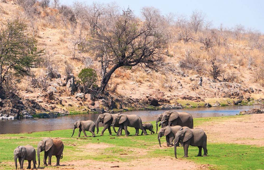 Arusha – Tarangire National Park