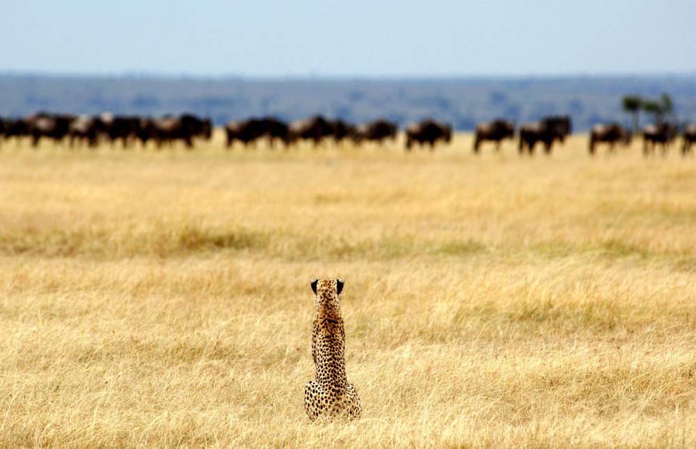 Serengeti National Park