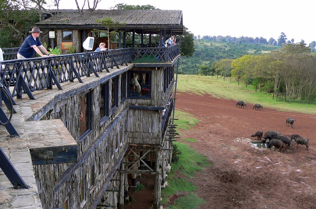 Aberdares to Lake Nakuru