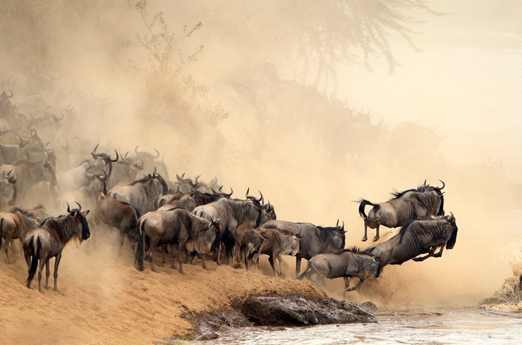 Masai Mara Game Reserve
