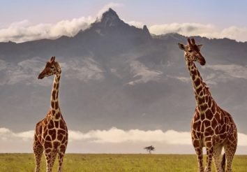 Mount Kenya & Masai Mara Adventure