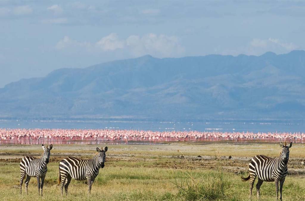 Tarangire Area – Lake Manyara National Park – Karatu