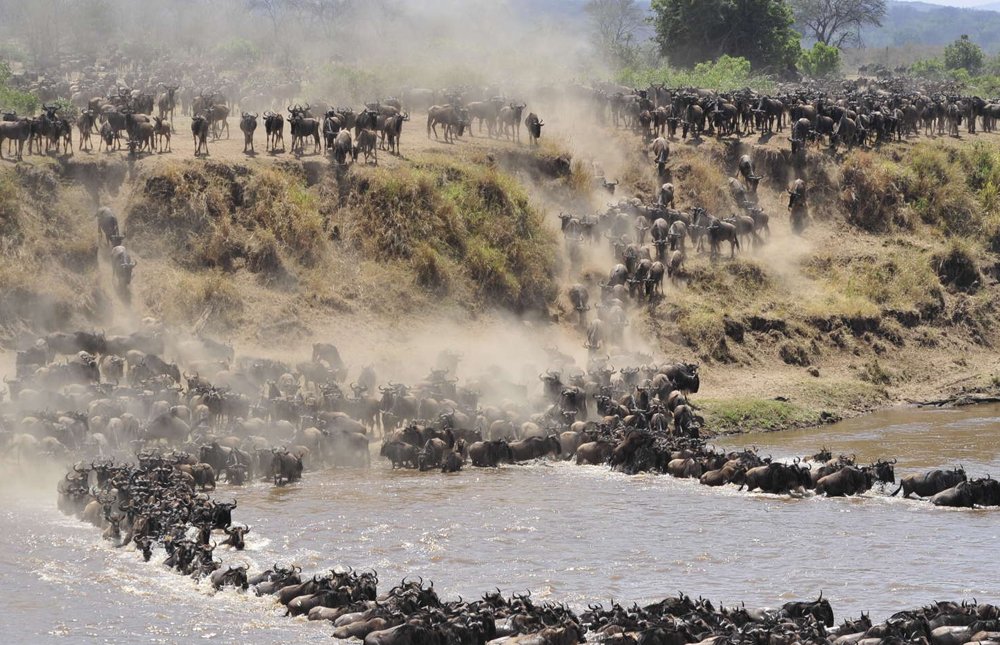 Serengeti National Park
