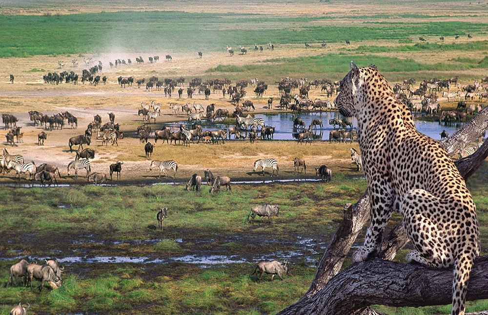 Serengeti National Park