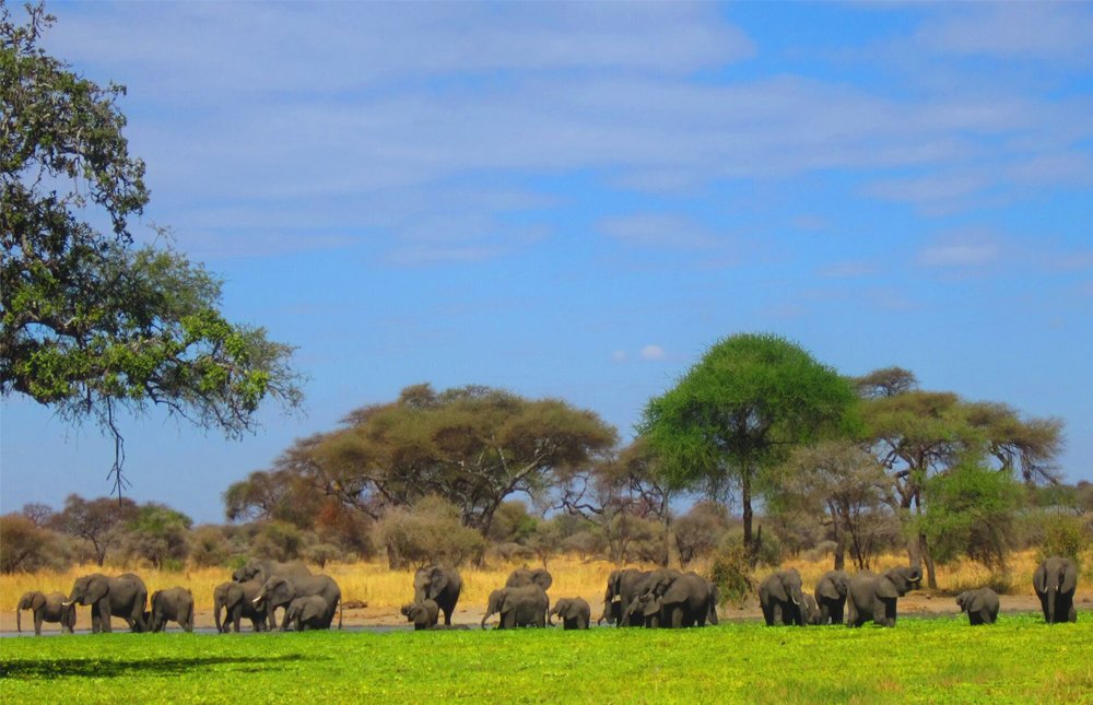 Karatu – Arusha