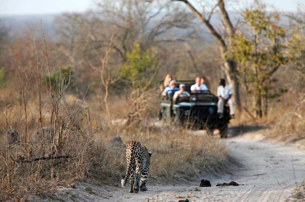 Johannesburg to Kruger National Park