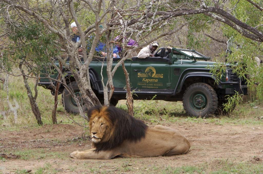 Kruger National Park