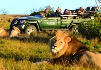 Wildlife, Wine & Garden Route