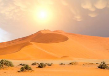 Namibia Highlights Fly-in Safari with Kaokoland