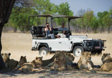 Private Safaris