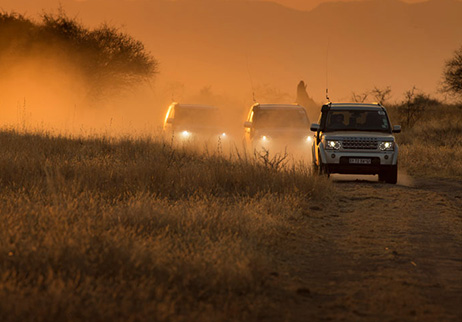 Self Drive Safaris