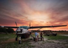 Special Sky Safaris