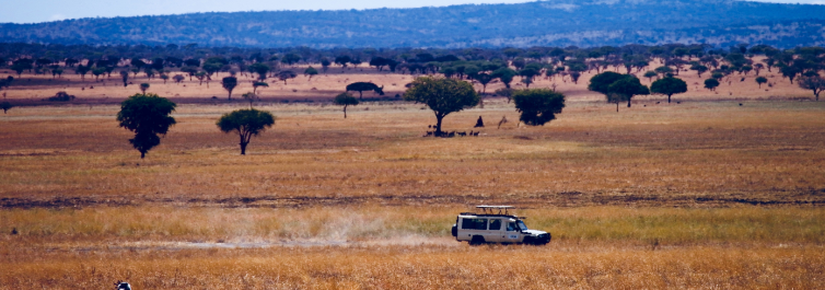 Best season/time to visit - Safarihub