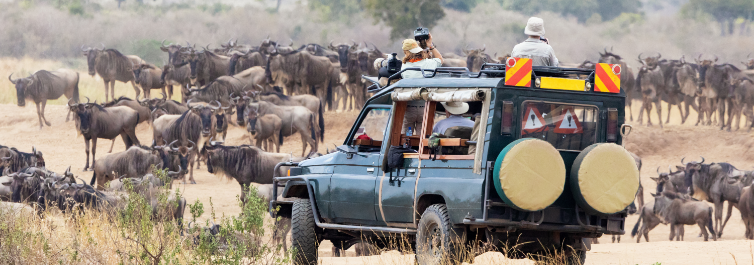 Accessibility - Safarihub