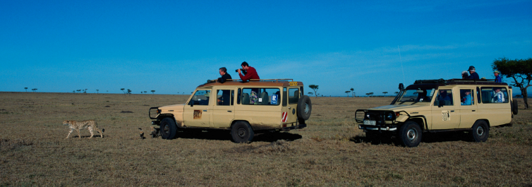Safari Safety - Safarihub