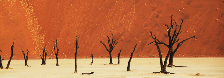 NAMIB DESERT - Places to Visit in Africa in 2021