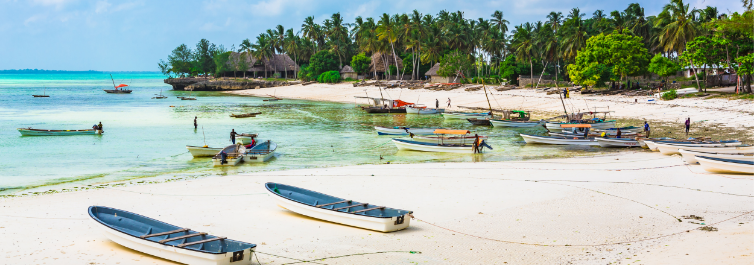 Best for Beach vacation - Thing to know before visiting Zanzibar