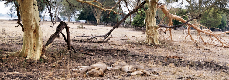 SOUTHERN EXPLORER TOUR - 4 Best Malawi Safari Tour Packages