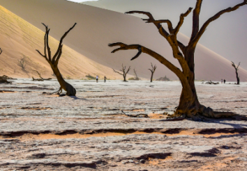 5 Best Safari Lodges & Camps To Stay Around Sossusvlei Namibia