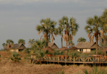 5 Best Kenya Safari Lodges & Camps