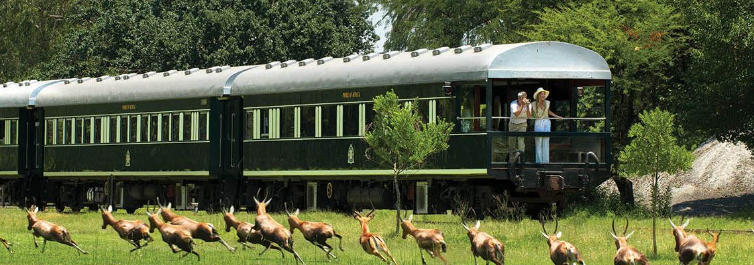 Easy and Quick Safari Package Booking with Safarihub for Christmas and New Year 2022
